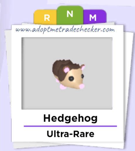 Whats A Hedgehog Worth In Adopt Me Adopt Me Trade Checker
