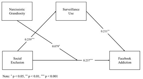 Ijerph Free Full Text Social Exclusion Surveillance Use And