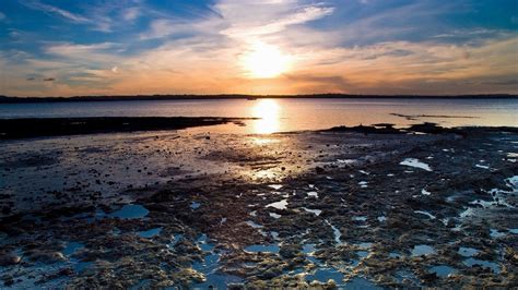 National geographic is a member of vimeo, the home for high quality videos and the people who love them. National Geographic Wallpaper HD ·① WallpaperTag