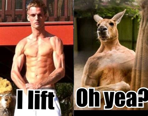 Buff Kangaroo Funny Animal Pictures Funny Animals Aussie Memes