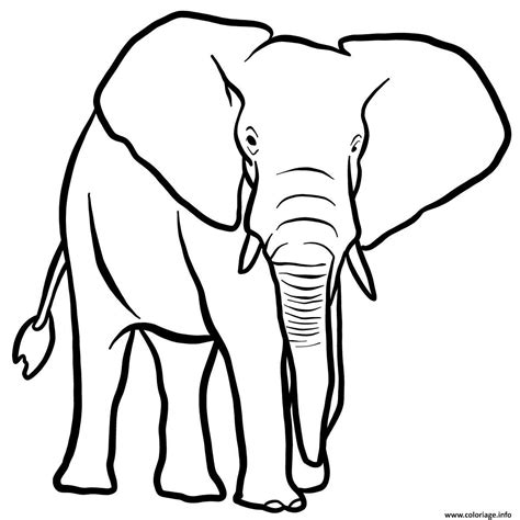 Coloriage Elephant De La Savane Africaine Dessin Animaux Sauvages à
