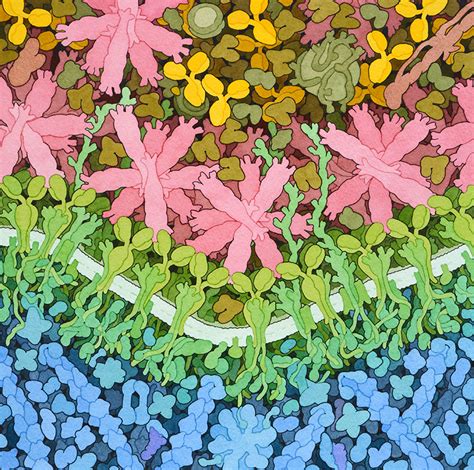 The best way to protect against flu is by getting a flu vaccine. PDB-101: Goodsell Gallery: Influenza Vaccine