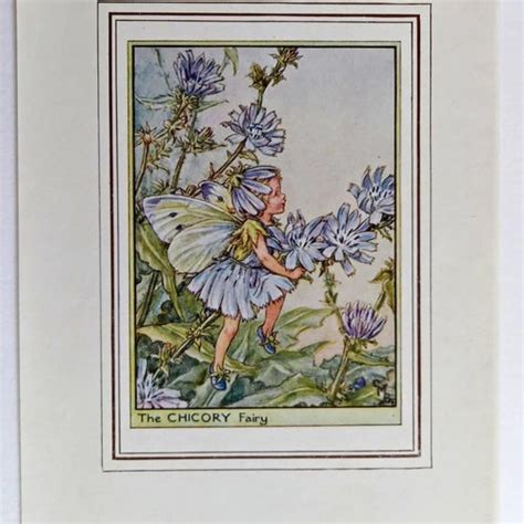 Greater Knapweed Flower Fairy Vintage Print 1930s Cicely Etsy Ireland