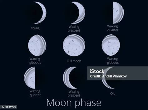 Fase Bulan Seluruh Siklus Dari Bulan Baru Ke Penuh Ilustrasi Vektor