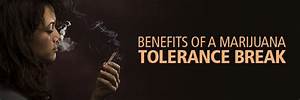Benefits Of A Tolerance Break Marijuana Tolerance Break Guide