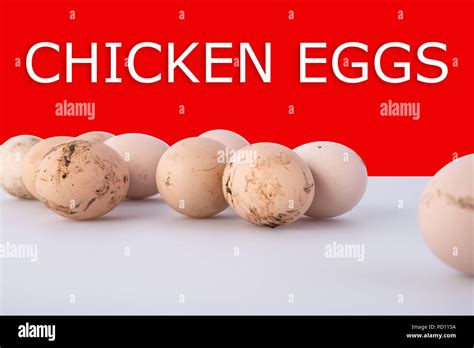 Group Of Dirty Chicken Eggs On Gray Background With Shadows And Text