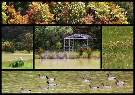 Spoilers follow, quit reading if you have not seen 'swimming pool.' as the story progresses, sarah gets less annoyed with julie's bratty and. The lake at Red Hill Lavender Farm & Distillery | Lake ...