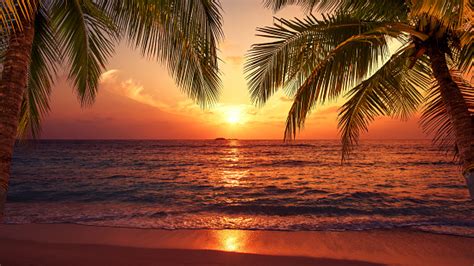 Tropical Paradise Beach Sunset Stock Photo Download