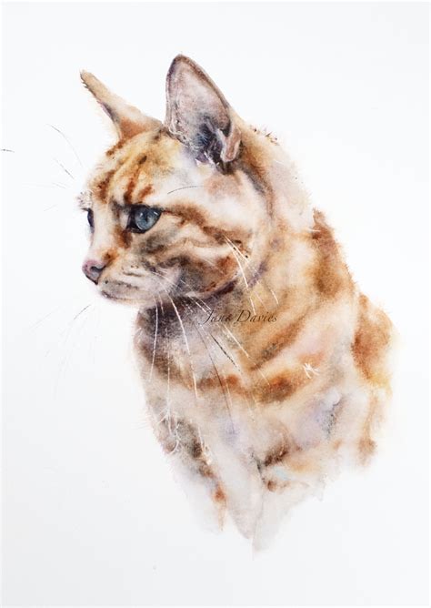 Pet Portrait Of A Ginger Cat Painted By Watercolour Artist Jane Davies