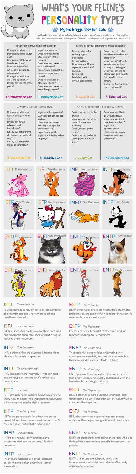 Where Does Your Cat Fall In The Myers Briggs Scale This Fun