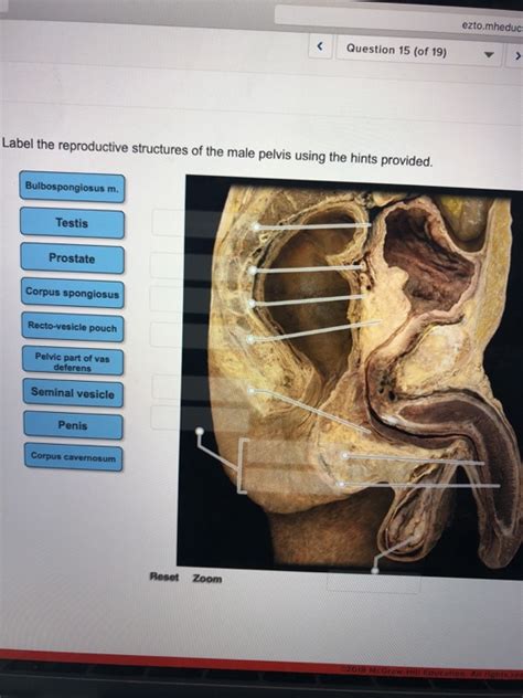 Test your knowledge on this miscellaneous quiz to see how you do and compare your score to others. 30 Label The Structures Of The Bone Using The Hints ...