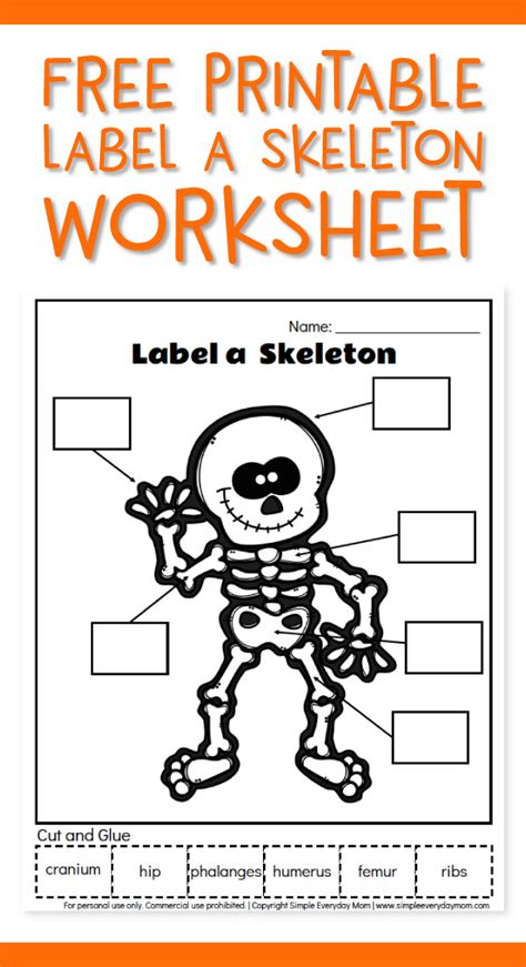 Free Printable Label A Skeleton Worksheet For Kids