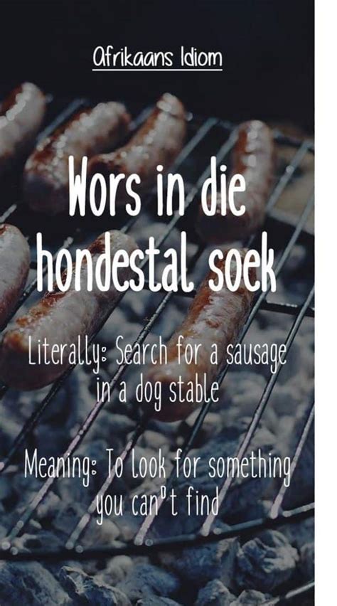 25 Best Afrikaans Idioms And Proverbs Ever With Images