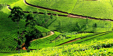Complete Tourism Info About Idukki Experience Kerala