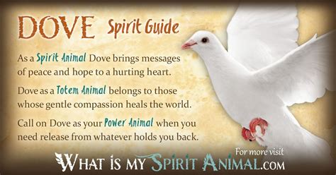 Dove Symbolism And Meaning Spirit Totem And Power Animal