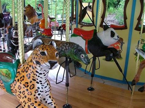 Akron Zoos Conservation Carousel Opens For Rides Saturday