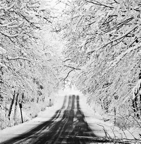Winter Wonderland Photograph By Ricky L Jones Fine Art America