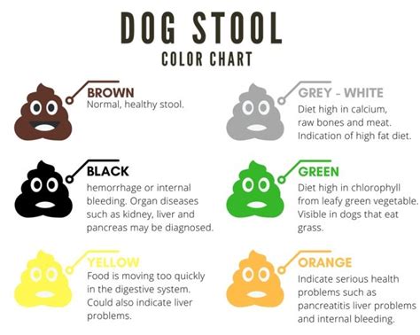 Dog Stool Color Chart Stool Color Chart Dog Wellness Dog Health Tips