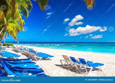 Palm Trees With Lounge Chairs On The Caribbean Tropical Beach Saona