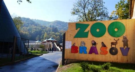 Zoo Brașov Modifică începand Cu 1 Ianuarie Tarifele De