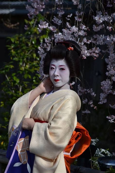 Oiran Geisha The Geiko Ryouka Under Cherry Blossoms Source