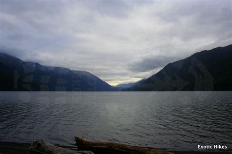 Olympic Peninsula Hikes Guides And Updates Lake Crescent And Marymere