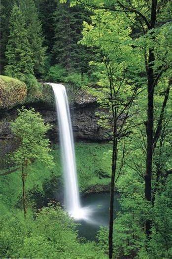 A Green Forest Waterfall Forest Waterfall Waterfall Outdoor