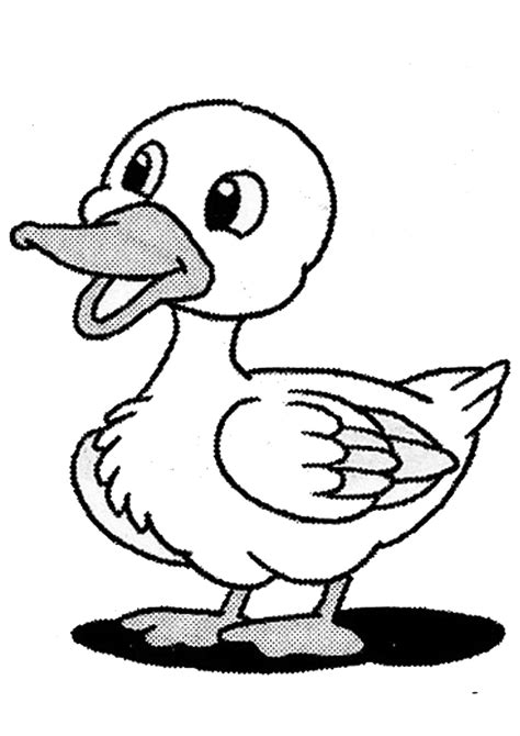 Gambar Menggambar Gajah Sapi Ayam Penulis Cilik Youtube Gambar Kartun
