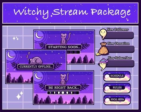 Witchy Stream Package Animated Etsy Twitch Streaming Setup
