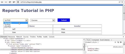 How To Create Reports In Php Part 1 Youtube Riset