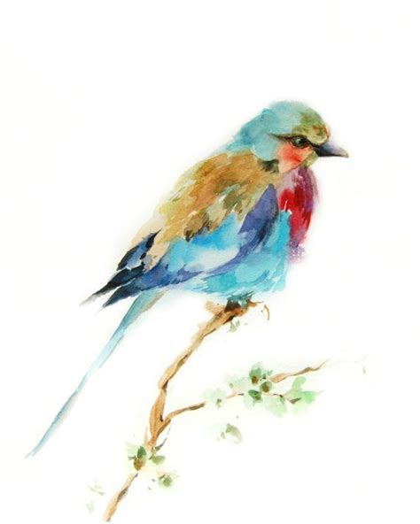 Pinterest Abstract Art Saferbrowser Yahoo Image Search Results Watercolor Bird Watercolor