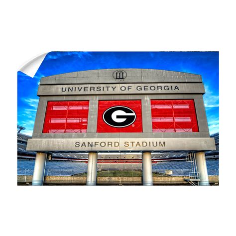 Georgia Bulldogs Sanford Stadium College Wall Art