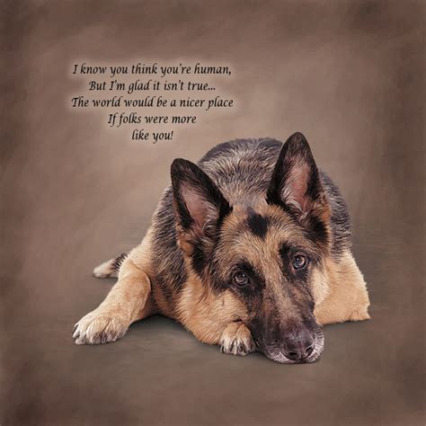German Shepherd Dog Quotes Quotesgram