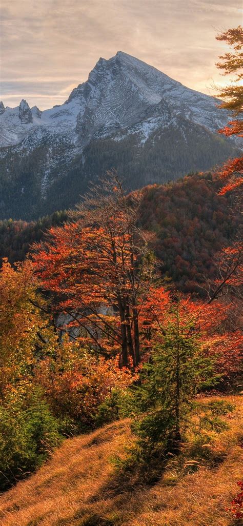 Free Download Autumn Mountain Wallpapers Top Autumn Mountain