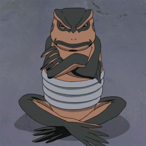 Naruto Jiraiya Frog Name Narutoqz