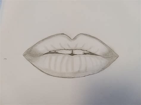Reproduction Of Lips From A Tutorial By Farjana Drawing Academy On