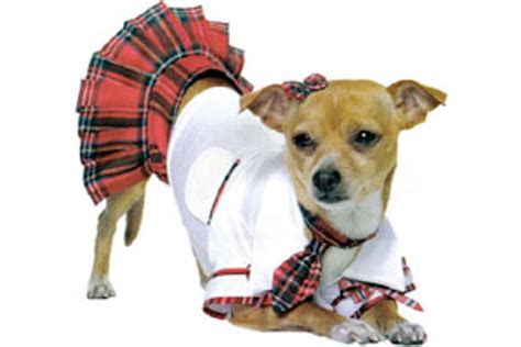 Slutty Halloween Costumes For Dogs