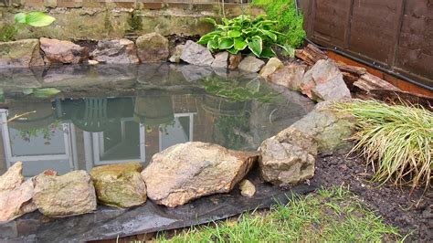 Frogs are voracious hunters of insects, including weevils, and they'll devour the slugs in your garden too. How to Build a Garden Pond (DIY Project) - YouTube