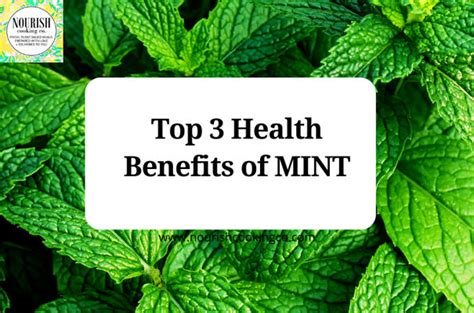 Top 3 Health Benefits Of Mint