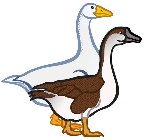 Goose Clipart Flew Goose Flew Transparent Free For Download On