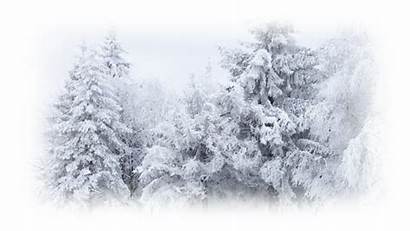 Transparent Snow Winter Desktop Cold Clipart Falling