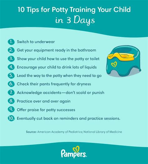 The Ultimate Guide To 3 Day Potty Training Methods