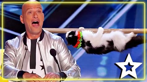 Most Exciting Animal Auditions Of All Time From Season 1415 Bgt Agt