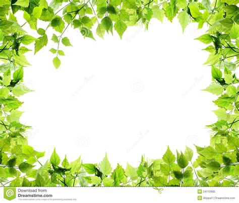 Borders With Leaves Plant Themed Frame Spring Green Leaf Film Frame