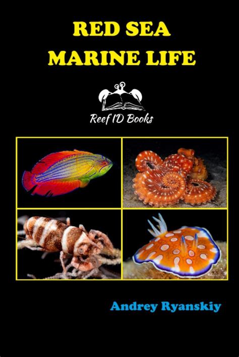 Red Sea Marine Life Nhbs Field Guides And Natural History