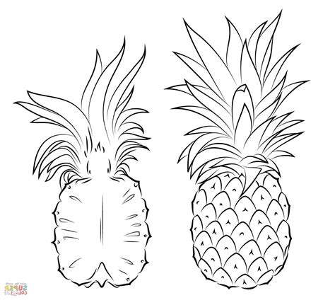 Pineapple Coloring Pages For Kids Thekidsworksheet