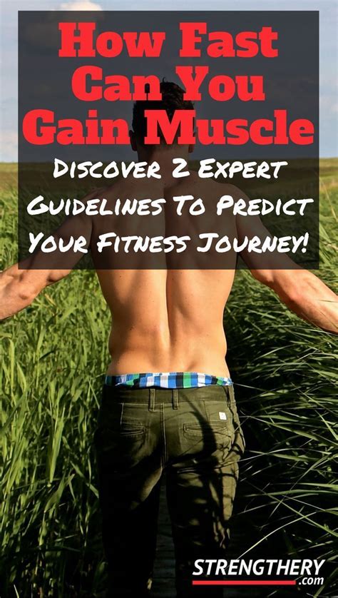 How Fast Can You Gain Muscle Realistically Gain Muscle Weight