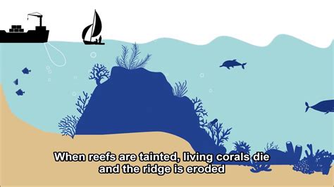 How Does Coastal Erosion Occur Youtube