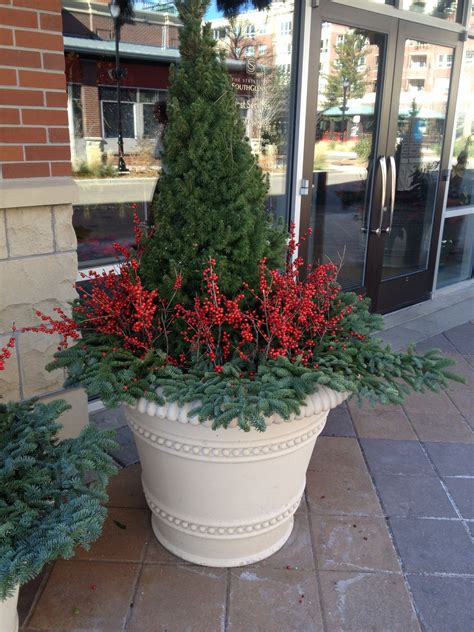 Free shipping on orders over $25 shipped by amazon. Might do this for Christmas for front porch pots. | Front ...