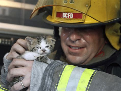 20 Amazing Photos Of Cats With Firemen